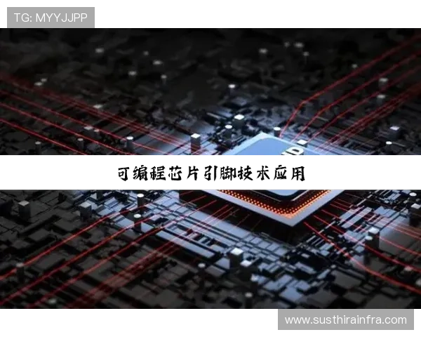 尊龙凯时z6最新版本下载指南帮助用户轻松获取最新版本软件